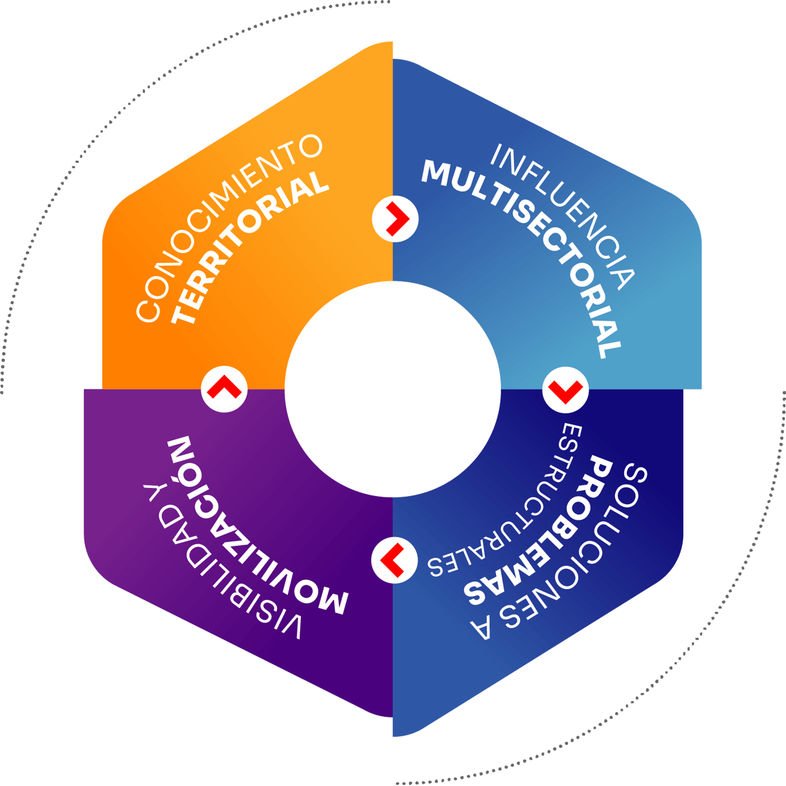 Coder Roseta Success